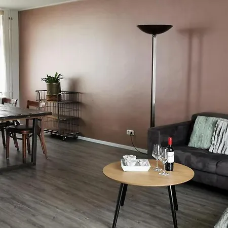 De Schelp Holiday home *