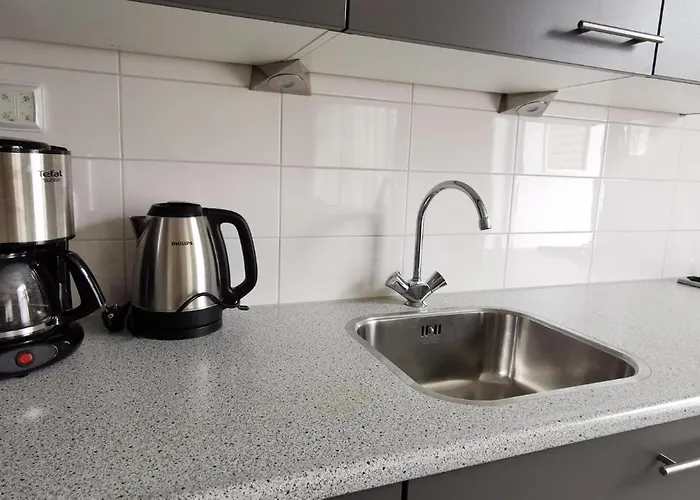 De Schelp * 海边的艾格蒙特